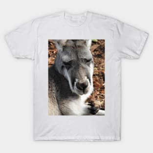 Red Kangaroo T-Shirt